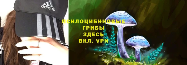 ПСИЛОЦИБИНОВЫЕ ГРИБЫ Куйбышев